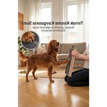 Hakay Tırnak Törpüleyen Tahta, Köpek Eğitim ve Tırmalama