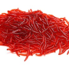 Hakay Kokulu Yapay Silikon Solucan, 3,5 Cm, 100 Adet Paket