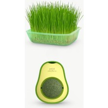 Hakay Doğal Kedi Çimi Seti ve Avokado Catnip Oyuncağı, 2'li Paket