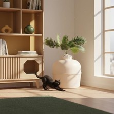 Hakay Dekoratif Tasarımlı Kedi Tuvaleti, Şık Görünüm