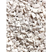 Hakay Beyaz Çakıl Taşı, Akvaryum ve Bahçe Süslemesi Için 1 kg