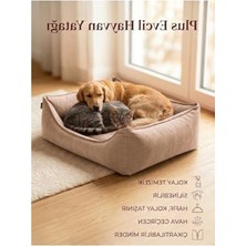 Hakay Xl Silinebilir Kedi Köpek Yatağı, Koltuk Kumaşı ve Çıkartılabilir Minder