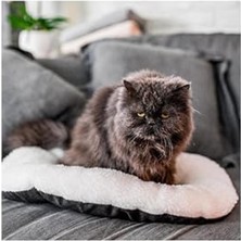 Hakay Gri-Beyaz Oval Peluş Yatak, 55 cm x 36 cm - Kedi ve Küçük Köpekler Için