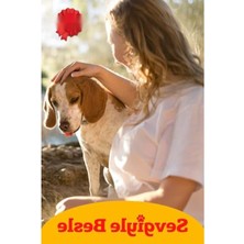 Hakay 400 G Jöleli Sığır ve Ciğer Karışımlı Yaş Köpek Maması
