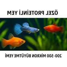 Hakay Özel Karışık Balık Yemi 100 G – 200-500 Mikron | Toz & Mikro Granül Yem | Tatlı Su & Tuzlu Su Akvaryum Balıkları Için