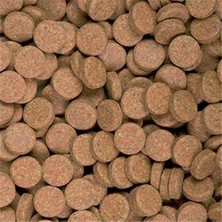 Hakay 100 Adet Tropical Süpervit A Tablet Balık Yemi ile Sağlıklı Beslenme