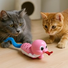 Hakay Kurmalı Hareketli Salyangoz Oyuncağı; Tüylü Kuyruklu Kedi Eğlencesi