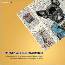 Hakay 50X35 cm Su Geçirmez Dayanıklı Evcil Hayvan Beslenme Matı