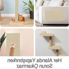Hakay Yapışkanlı Kedi Tırmalama Halısı, 40X50 Cm, Mobilya Koruyucu