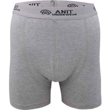 Anıt Kısa Paça Likralı Erkek Boxer Gri - 1115A