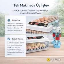 ALK WH-130 Kuluçka Makinesi -Tavuk Kaz Hindi Ördek ve Kuş Türleri Uyumlu Yedek Motor Hediyeli ( Lisinya )