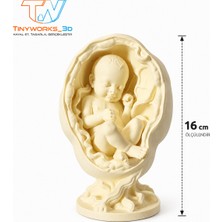 TinyWorks 3d Dekoratif Anne Karnındaki Bebek Biblosu 16 cm | 3D Baskı Sanatsal Dekor Objesi | TINYWORKS_3D