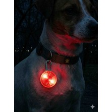 Şirin Aksesuar Home LED Kedi ve Köpek Güvenlik Işığı – Gece Görünürlük Sağlayan Tasma Lambası