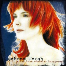 Kadıköy Plak Kulübü Dikkat CD !!! Şebnem Ferah – Artık Kısa Cümleler Kuruyorum... CD