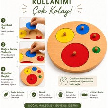 Montessori Gemisi Montessori Şekil Plakaları Renkli Daireler | Ahşap Toddler Geometri Bul-Tak Oyuncağı (1-3 Yaş) | Toddler Materyal | Ahşap Oyuncak | Okul Öncesi Eğitim Materyali