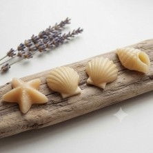 Karakız Mini Deniz Kabukları 5Li Silikon Kalıp 4 Cm
