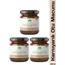 Dr. Natural 3 Adet Karnıyarık Otu Macunu Bitki Karışımlı Macun (Psyllium Husk Powder) 240 gr