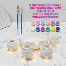Sharp & Art Baykuş Mumluklar ve Dekoratif Yuva Boyama Seti, 12 Renk Boya, 2 Farklı Uç Fırça, Peri LED Işık ve Kurutulmuş Yapraklar