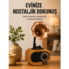 Decostyle Retro Tasarımlı Mini Bluetooth Hoparlör ve Fm Radyo Çoklu Medya Yeni Nesil