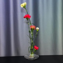 Skygo Flora Design-Balance Series Şeffaf Cam Vazo