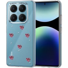 Homestead Newface Xiaomi Redmi Note 14 Pro 4g Fiyonk Desenli Kapak - Desen 3