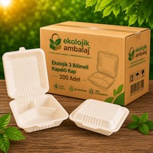 Ekolojik Ambalaj Doğa Dostu Ekolojik 3 Gözlü Kapaklı Kapaklı Kap 21X20X8CM 200 Adet - Koli | Paket Servis , Taşıma