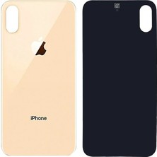 Palmira Demir iPhone Xs Arka Kapak Gold Altın