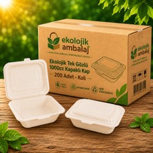 Ekolojik Ambalaj Doğa Dostu 1000CC Ekolojik Kapaklı Kap 22X14X5CM 200 Adet - Koli | Paket Servis , Taşıma