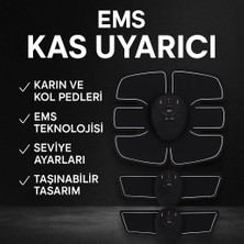 Palmira Demir Orijinal 2025 Ems Titreşimli Kas Çalıştırma Cihazı Evde Spor Için A Kalite