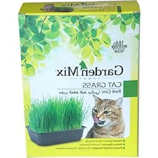 Esranın Dünyası Garden Mix Kutu Kedi Çimi, Kahverengi, 1