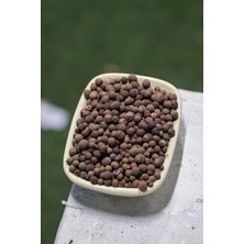 Hatay Akkız Yöresel Yeni Bahar 100 Gram