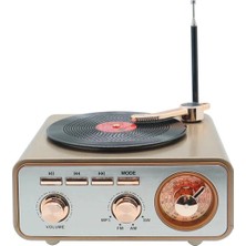 Die Grup Metalik Nostaljik Tasarım Plak Çalar Görünümlü Radyolu Bluetooth Hoparlör Retro Müzik Plak