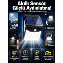 Dp-53 Duvar Lambası Midastech
