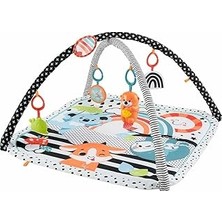 Mey İthalat Fisher Price Neşeli Hayvanlar 3'ü 1 Arada Jimnastik Merkezi HBP41 Renkli 0+