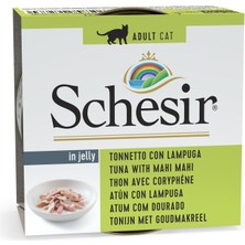 Mey İthalat Schesir Jelly Ton Balığı ve Mahi Mahi Balığı Jöle Içinde Yetişkin Kedi Konservesi 85G