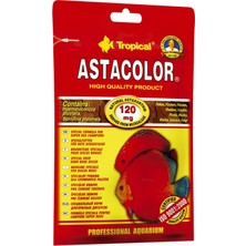 Mey İthalat Tropical Astacolor 12GR