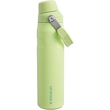 Mey İthalat Stanley Aerolight Iceflow Fast Flow Içecek Şişesi, 0.6 L