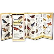 Mey İthalat Common Butterflies Of The Southeast (Foldingguides)