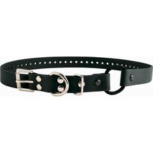 Mey İthalat Educator Bungee Köpek Tasması, Biyothane, Su Geçirmez, Kokusuz, Metal Toka ve D Halka, Konforlu Halka ile Kişiye Özel Uyum Için Ayarlanabilir, 3/4 Inç, Siyah