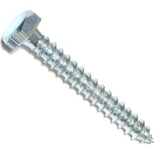Mey İthalat Hard-To-Find Fastener 014973259556 Midwest 1289 Lag Vidası, 1/4" x 2", Çinko Kaplama