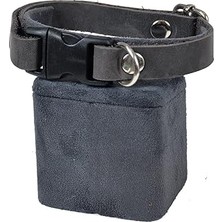 Mey İthalat X-Perk Köpek Boyun Tasması, Deri, Tokalı, Tasma Ayarlanabilir, 1 cm x 33 Cm, Tüm Çeşitler