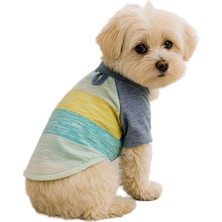 1001 ve Köpek Kıyafeti & Elbisesi Mavi Beyaz T Shirt L