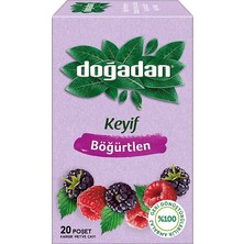 1001 Meyve Çayı Böğürtlen (20'li)