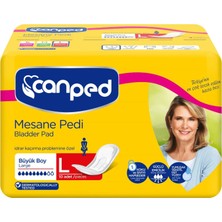 1001 Mesane Pedi, Large
