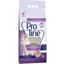 1001 Kokulu Bentonit Kedi Kumu 5 L
