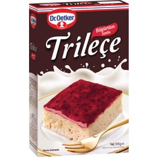 1001 Böğürtlen Soslu 315 gr