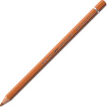 1001 Dürer Sanatçı Suluboya Kalem, P1