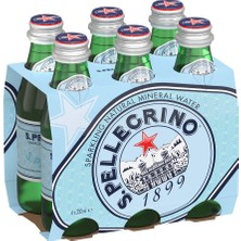 1001 Mineralli Su Cam Şişe 6X250 ml