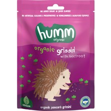 1001 Organic Organik Vegan Pancarlı Grissini - 55G