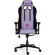 1001 Gaming Chair Fab Oyuncu Koltuğu (Metallic)